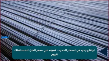 ارتفاع جديد في أسعار الحديد.. تعرف على سعر الطن للمستهلك اليوم